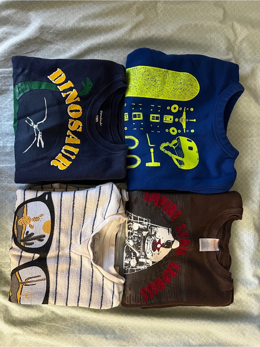Boys Winter Sweatshirt Bundle - Dino, train, ski, desert design size 5/6 Small